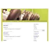 5 Website-Themes Vol2