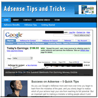 AdSense Nischen-PLR-Blog