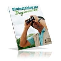 Vogelbeobachtung für Anfänger