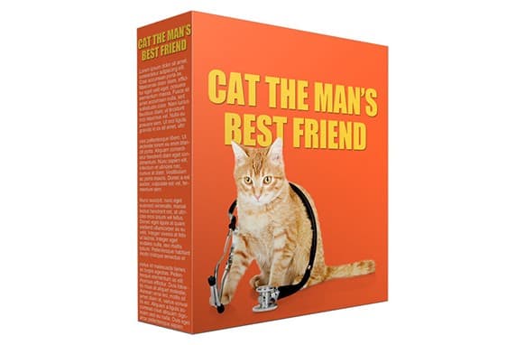 Cat Mans Bester Freund PLR Artikel