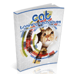 Katzen-Trainingstechniken
