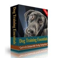 Hundetraining Grundlagen