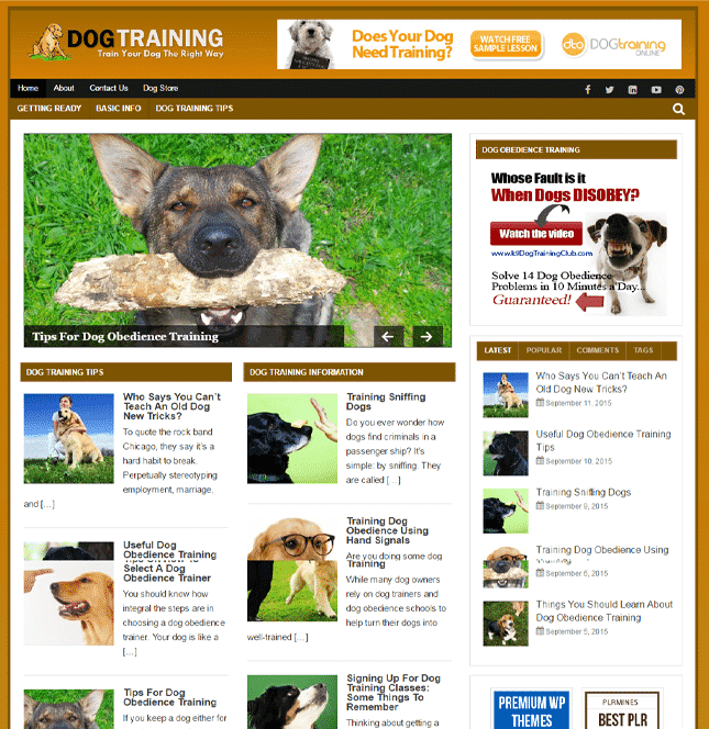 Hundetraining PLR-Blog
