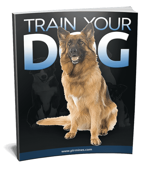 Tipps zum Hundetraining