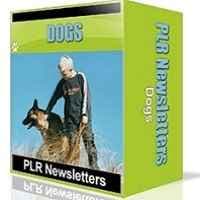 Hunde Nische Newsletter