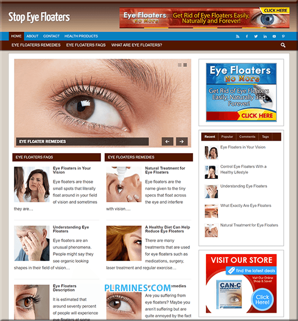 Eye Floaters WP Blog
