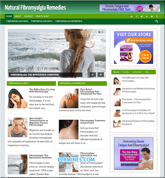 Fibromyalgie-Heilmittel PLR-Blog