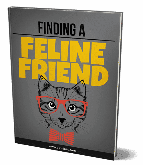 Einen feline Freund finden