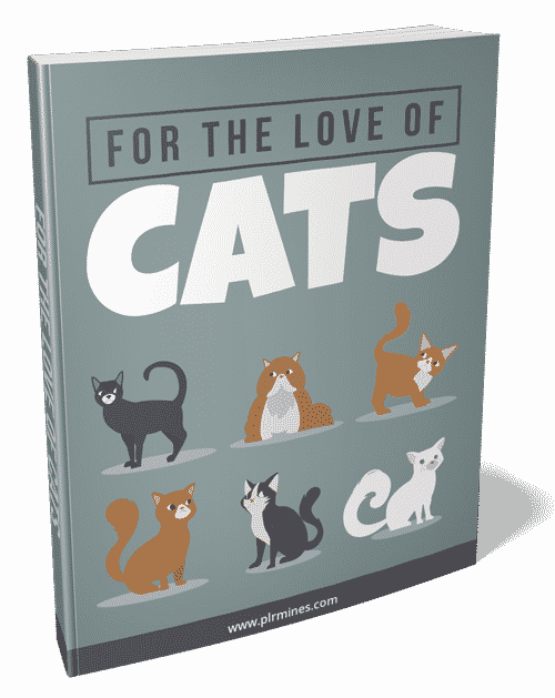 Für die Liebe der Katzen 2021