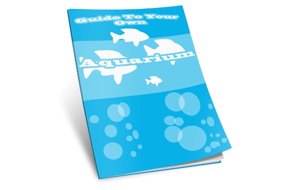 Führer zu Ihrem eigenen Aquarium