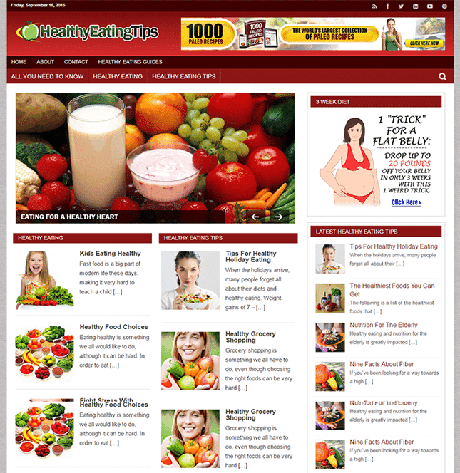 Gesundes Essen PLR Blog