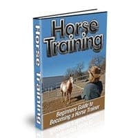 Pferdetraining