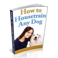 Wie Sie jeden Hund stubenrein bekommen