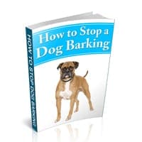 Wie man ein Hunde-Barking stoppen