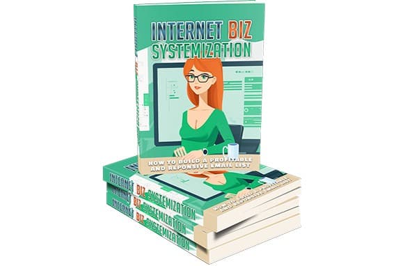 Internet Biz Systemisierung