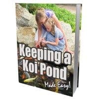Einen Koi-Pond behalten