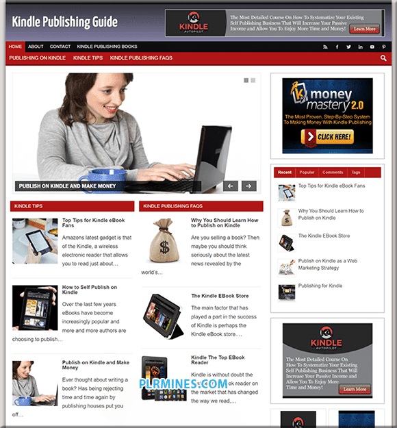 Kindle Publishing Nische PLR Blog