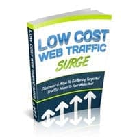 Niedrige Kosten Web Traffic Surge