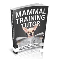 Säugetier-Training-Tutor