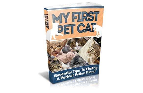 Meine erste Katze