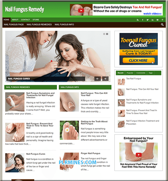 Nagelpilz PLR WordPress-Blog