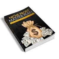 Nischen-Profit-Masterplan