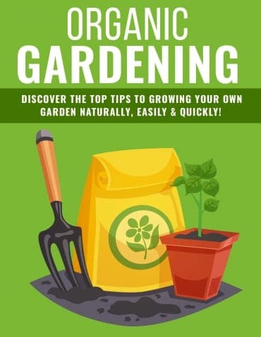 Bio-Garten-Tipps 2020