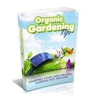 Tipps für den ökologischen Gartenbau