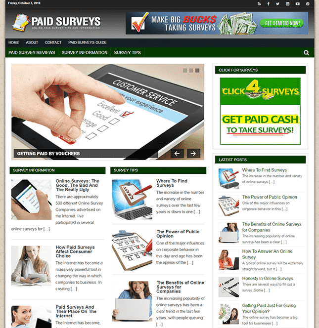 Paid Surveys Online PLR Blog