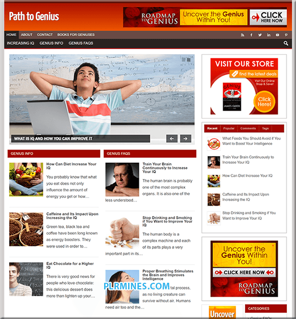 Path to Genius Nischen-WordPress-PLR-Blog