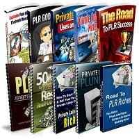 PLR Niche & Gewinnberichte