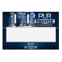 PLR-Gewinnvorlage