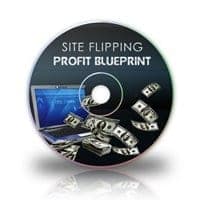 Website-Flipping-Gewinnpläne