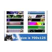 Erfolg Grafik-Web-Design-Paket