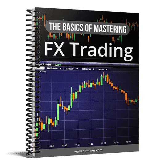 Die Grundlagen des FX Trading