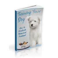 Hundetraining