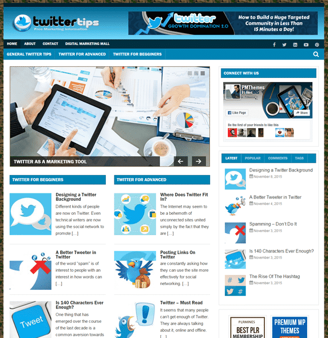 Twitter Nische PLR Blog
