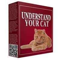 Verstehen Sie Ihre Cat-Software
