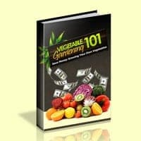 Gemüsegartenbau 101