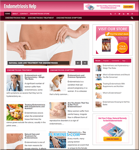Endometriose-Hilfe Affiliate WP-Website