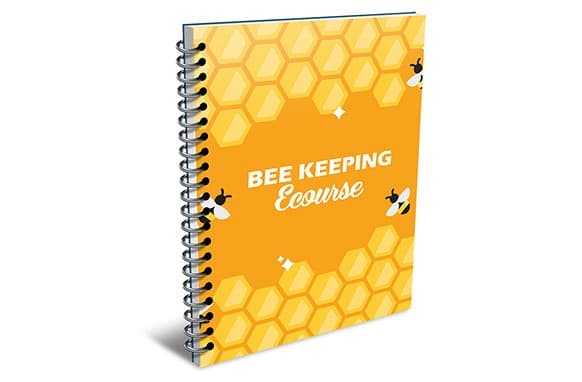 Bienen halten Kurs