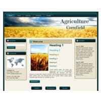 Cornfield WP Thema