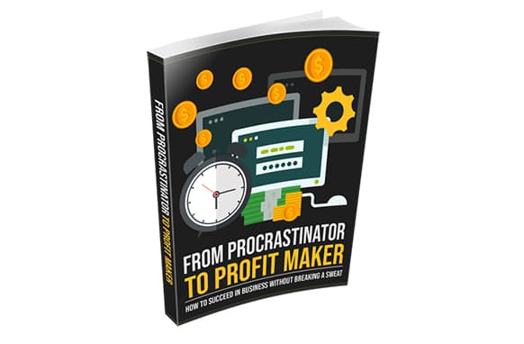 Vom Procrastinator zum Profit Maker