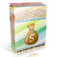 Google Adsense für Blog Monetisierung