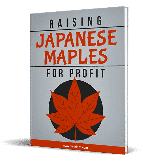 Japanische Maples für Gewinn