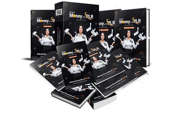 Machen Sie Geld mit PLR Blueprint