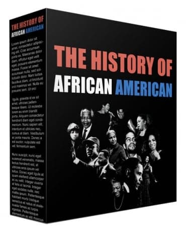 Die Geschichte des African American