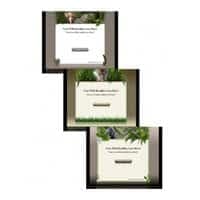 Wildlife Template und WP Themes